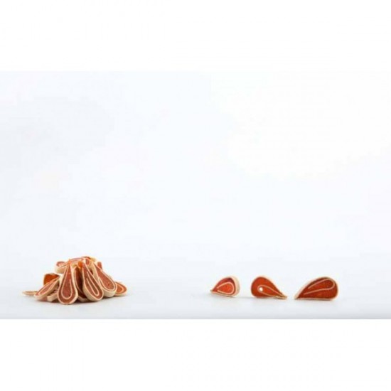 PET INTEREST- ROLLS WITH CHICKEN AND FISH