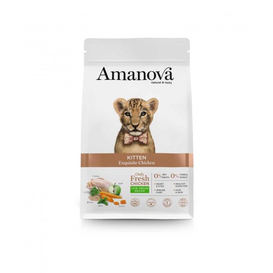 AMANOVA KITTEN