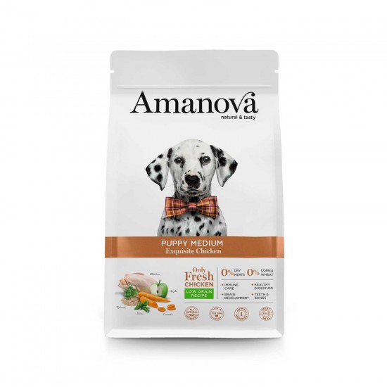 AMANOVA PUPPY MEDIUM