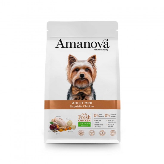 AMANOVA ADULT MINI- CHICKEN EXQUISITE