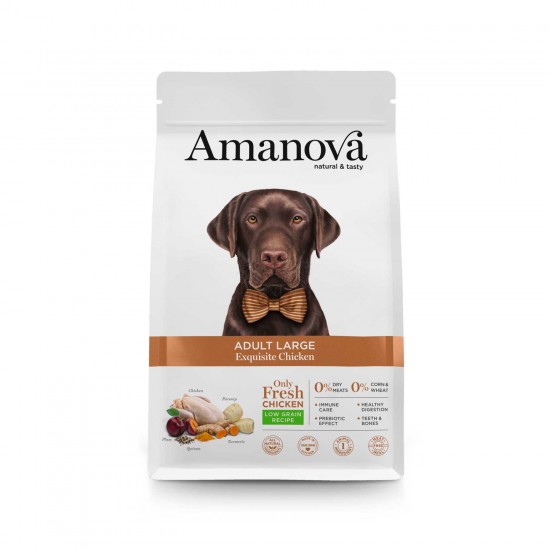 AMANOVA ADULT LARGE EXQUISITE CHICKEN