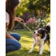 ΣΧΟΙΝΙ ΜΕ ΜΠΑΛΑ ΠΑΙΧΝΙΔΙ ΣΚΥΛΟΥ 27cm PET NOVA