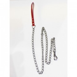 PET INTEREST DOG LEASH WITH CHAIN