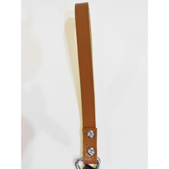 ΟΔΗΓΟΣ ΣΚΥΛΟΥ ΜΕ ΑΛΥΣΙΔΑ- PET INTEREST