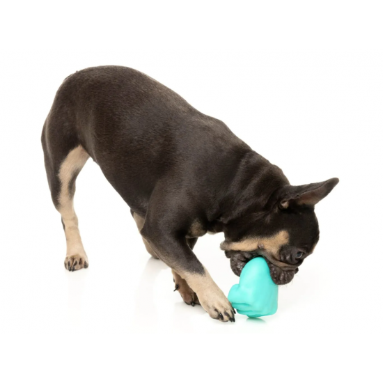 KNUCKLE SANDWICH ΠΑΙΧΝΔΙ ΣΚΥΛΟΥ- FUZZYARD