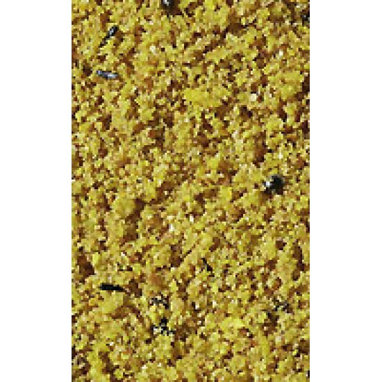 ΑΥΓΟΤΡΟΦΗ- VERSELE LAGA GOLD PATEE