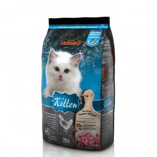 LEONARDO KITTEN CHICKEN