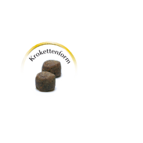 LEONARDO ADULT DUCK & RICE