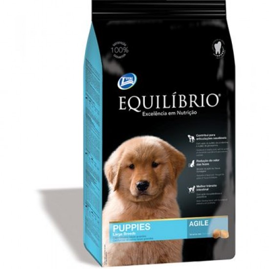 PUPPY LARGE BREEDS-  EQUILIBRIO