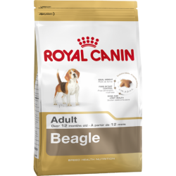 ROYAL CANIN BEAGLE ADULT