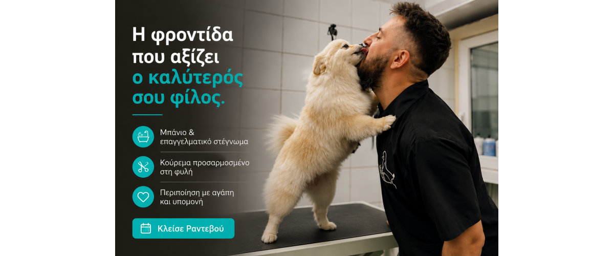 Καλλωπισμός_σκύλου