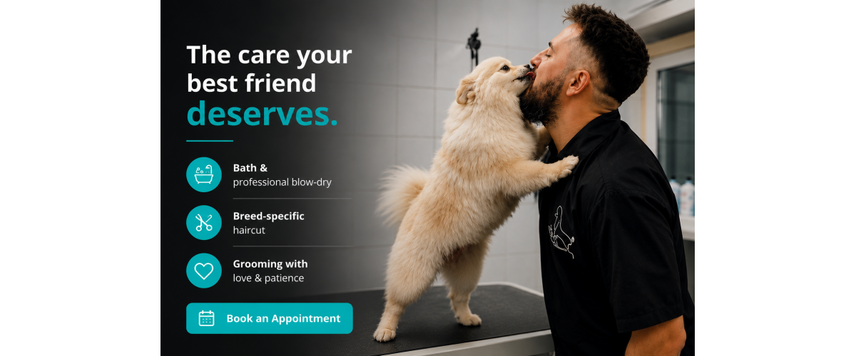 Dog_grooming